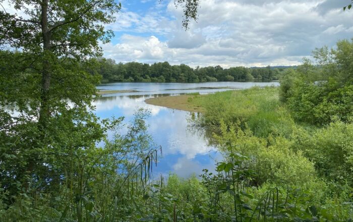 Sevenoaks Gravel Pit SSSI (Lake and Trees)