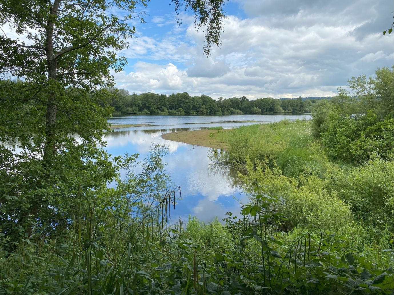 Sevenoaks Gravel Pit SSSI (Lake and Trees)