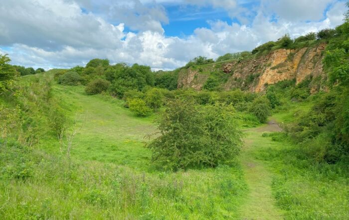 Grassland, scrub and limestone cliff faces.