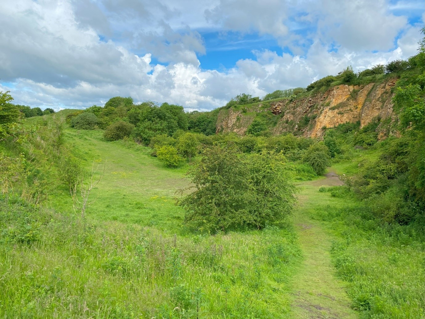 Grassland, scrub and limestone cliff faces.